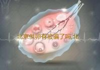 北京供卵有被骗了吗,北京妇幼保健院可以申请供卵做试管么过完年几月放生最好