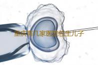 重庆有几家医院包生儿子重庆试管助孕机构排名重庆北部妇产医院‘32周双顶径看男女’